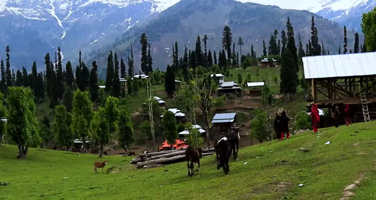 Arang kel village view