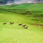 Baboon vally ajk pakistan