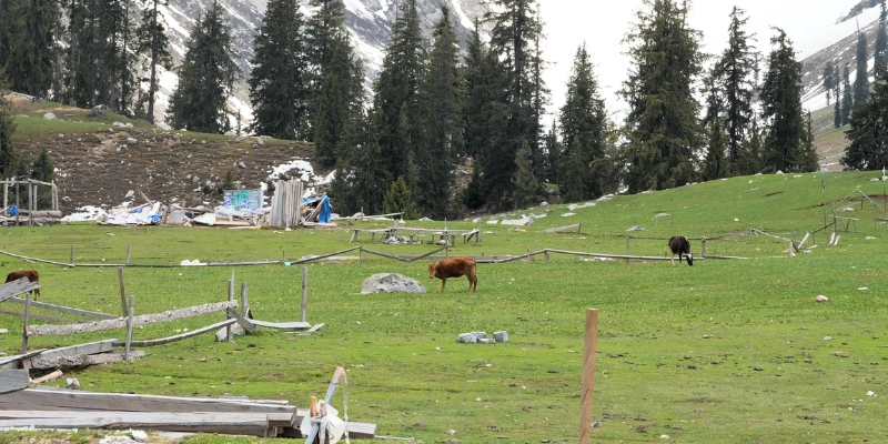 Beauty of Kumrat Valley