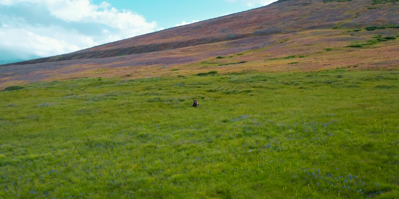 Deosai Plains