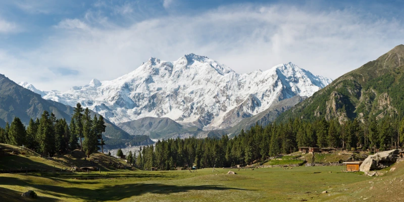 Fairy Meadows