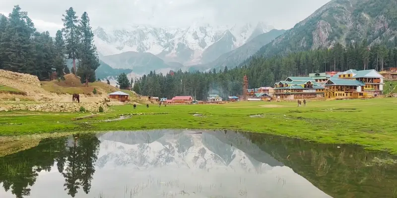 Fairy Meadows