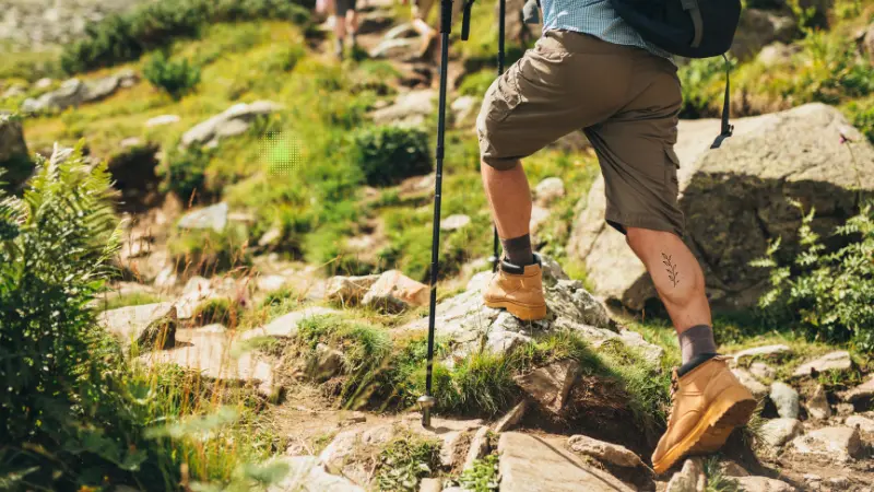 Hiking Improves Cardiovascular Health
