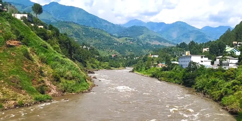 Jhelum revier