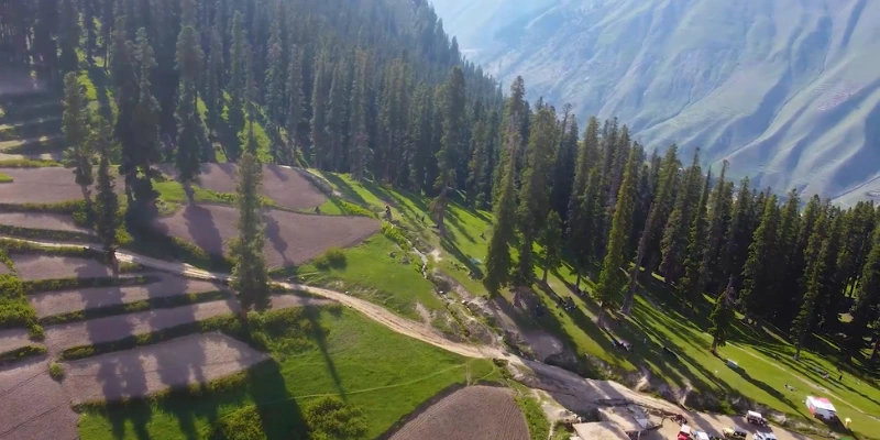 Lalazar Meadow