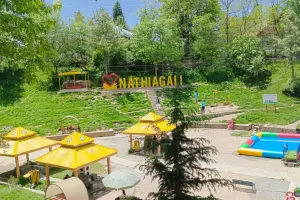 Nathia Gali – The Beautiful Land of Tall Trees