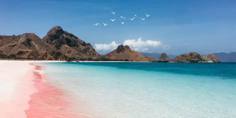 Pink Sand Beach, Bahamas