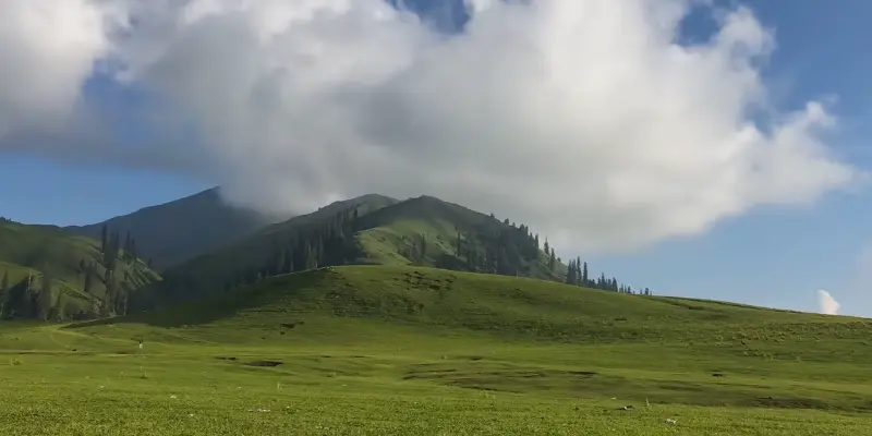 Shogran & Siri Paye