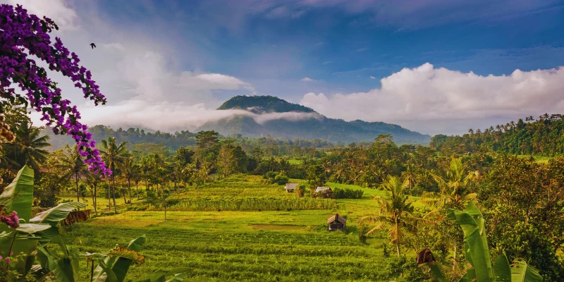 Sidemen Valley, Bali