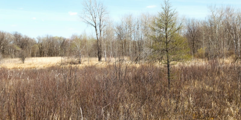 Tamarac National Wildlife Refuge