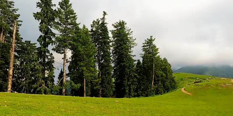 The Beauty of Siri Paye Meadows