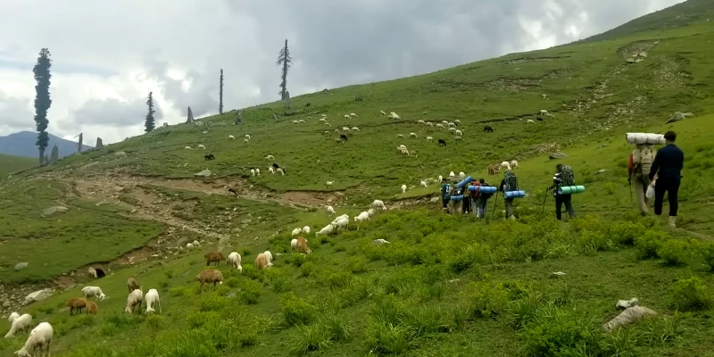 Utror Meadows