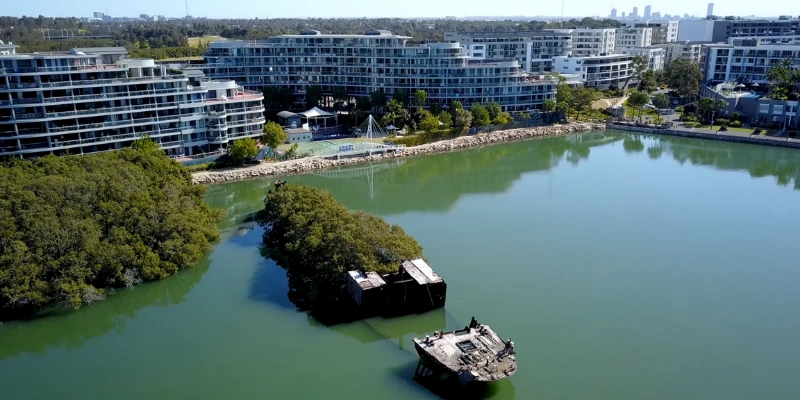What Is the Floating Forest