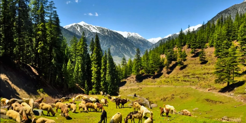What is Kalam Valley