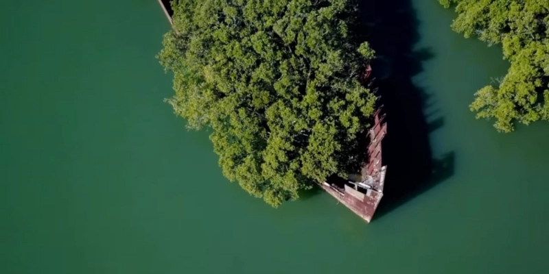Why Go to the Floating Forest
