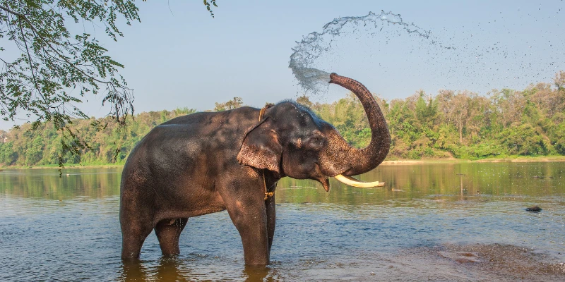 Why Kerala Is a Top Travel Spot